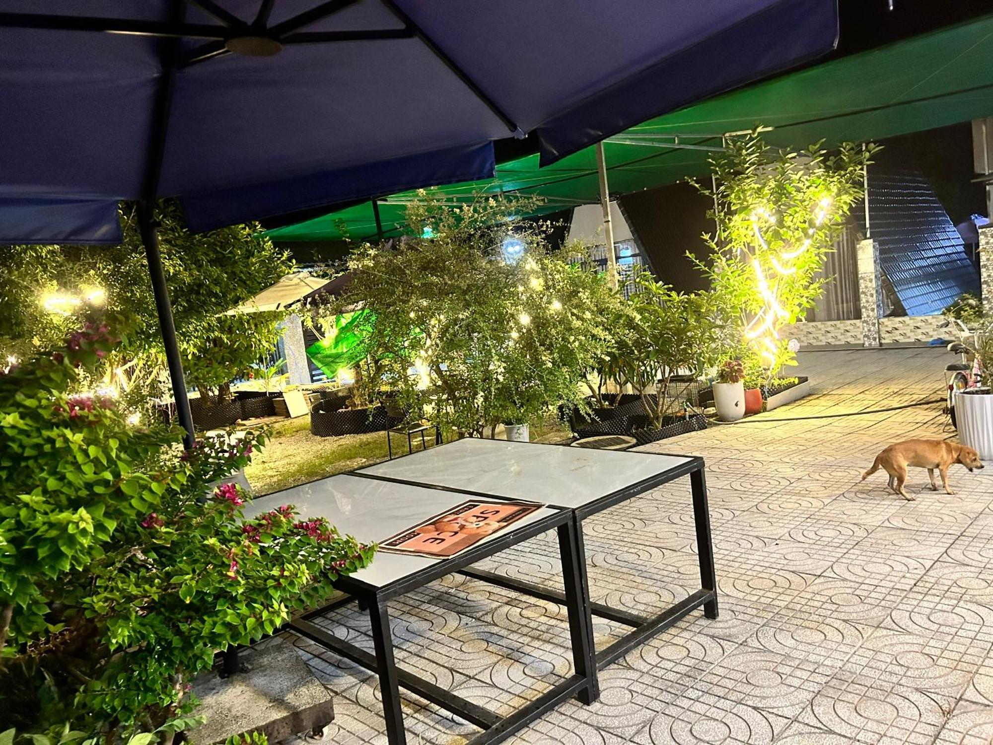 Homestay A Au Family بينه تشاو المظهر الخارجي الصورة
